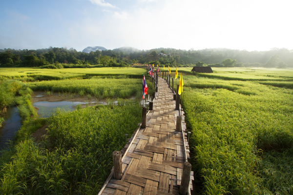 eco trekking Thailand Mae Thang