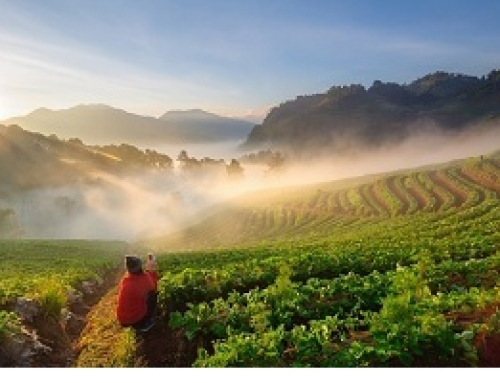 Doi Ang Khang, Chiang Mai Thailand