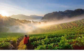 Doi Ang Khang, Chiang Mai Thailand