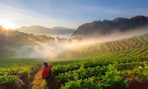 Travel guide Doi Ang Khang Chiang Mai Thailand.