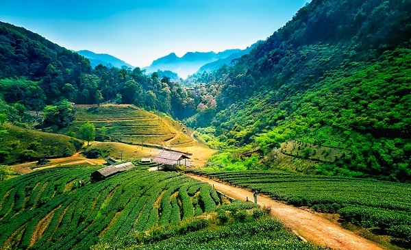 Travel guide Doi Ang Khang Chiang Mai Thailand.