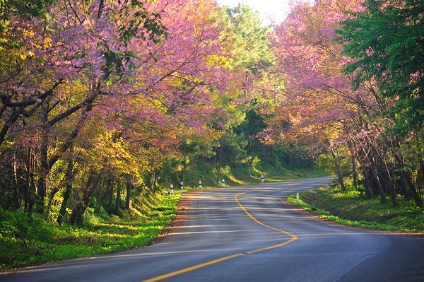 Travel guide Doi Ang Khang, Chiang Mai, Thailand.
