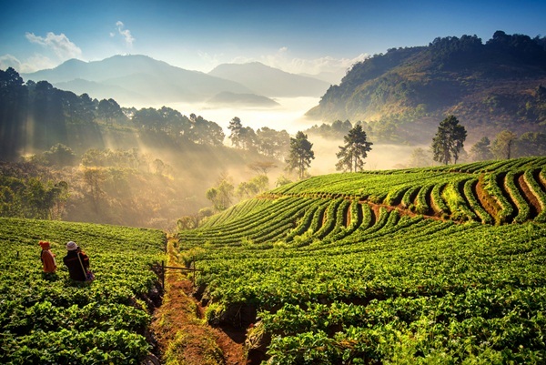 Thailand travel guide Doi Ang Khang , Chiang Mai Thailand