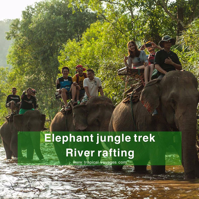 Mae Ta Marn Elephant Camp in Chiang Mai Thailand Travel Guide