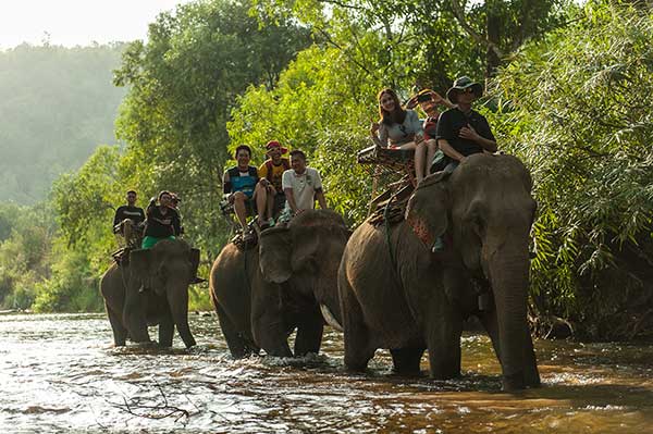 trekking in Chiang Mai with elephant ride Thailand